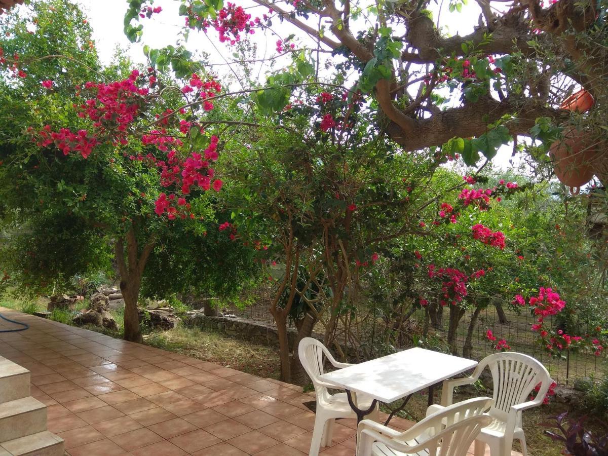 Ktima Tzamika Apartment Episkopi  Exterior photo