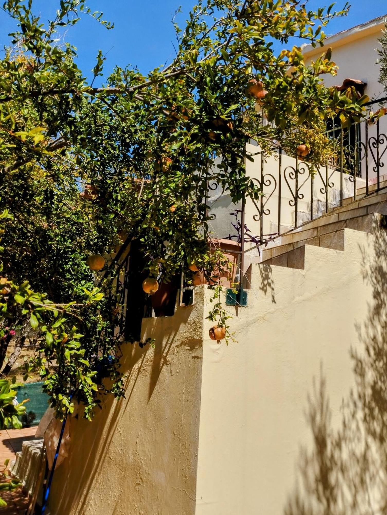 Ktima Tzamika Apartment Episkopi  Exterior photo