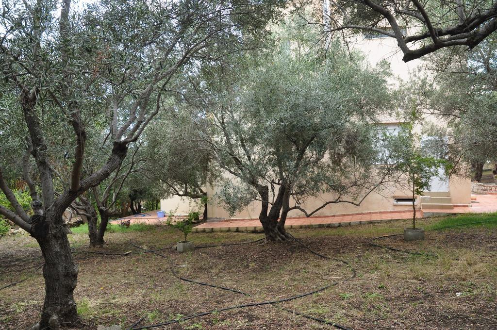 Ktima Tzamika Apartment Episkopi  Exterior photo
